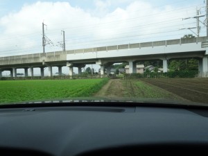 DSC00062
