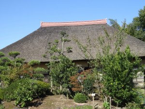 DSC01766