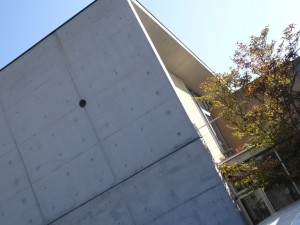 DSC01813