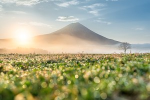 Sunrise at Mt.Fuji , Japan